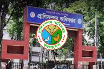 DLS Job Circular 2024 । প্রাণিসম্পদ অধিদপ্তরের অনেক বড় সার্কুলার প্রকাশিত হয়েছে